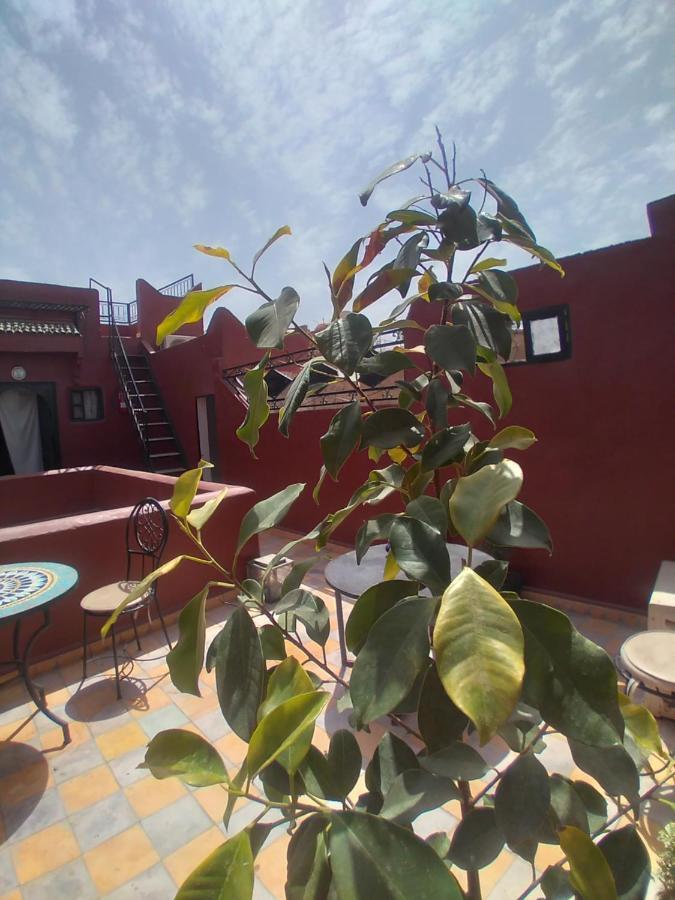 Riad 9 Derb El Bousnne Marrakesh Esterno foto