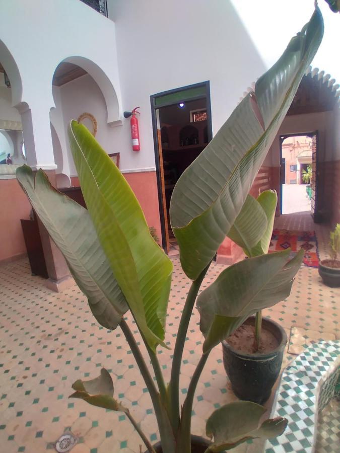 Riad 9 Derb El Bousnne Marrakesh Esterno foto