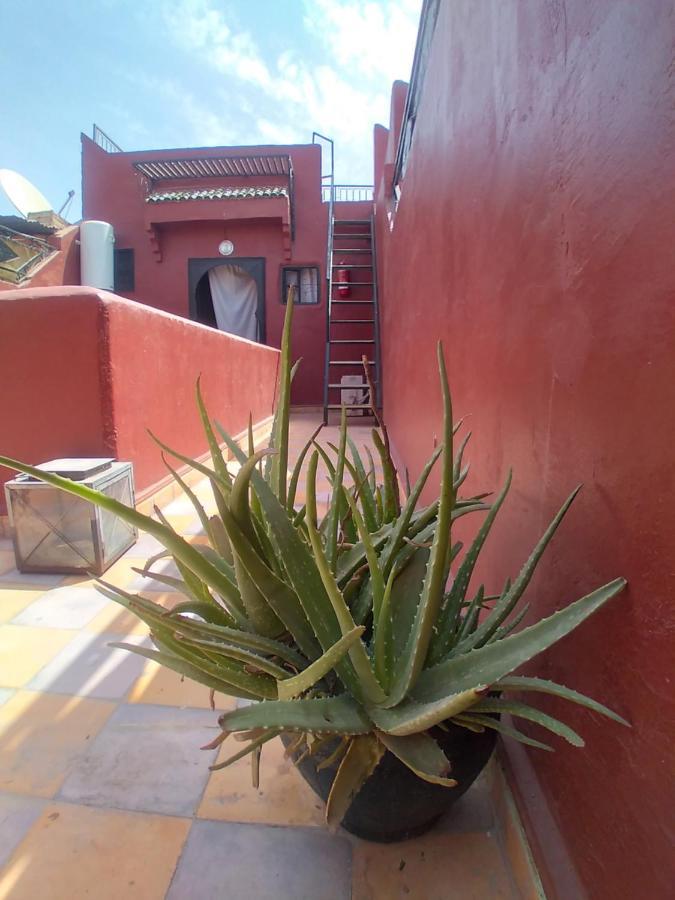 Riad 9 Derb El Bousnne Marrakesh Esterno foto